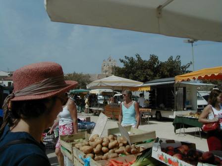 camargue_3.jpg (23568 Byte)