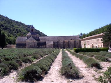 senanque.jpg (19597 Byte)